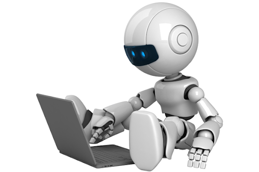 A bot
